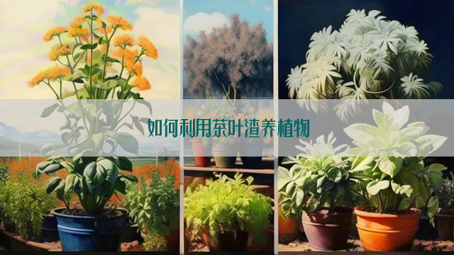 如何利用茶叶渣养植物