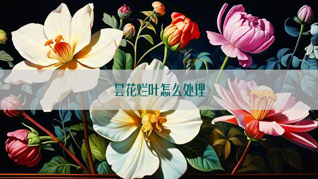 昙花烂叶怎么处理