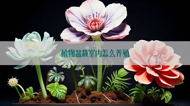 植物盆栽室内怎么养殖