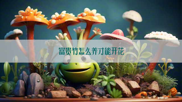 富贵竹怎么养才能开花