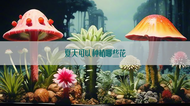 夏天可以种植哪些花