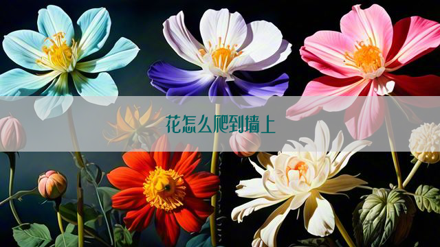 花怎么爬到墙上