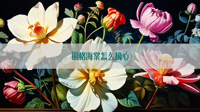 丽格海棠怎么摘心