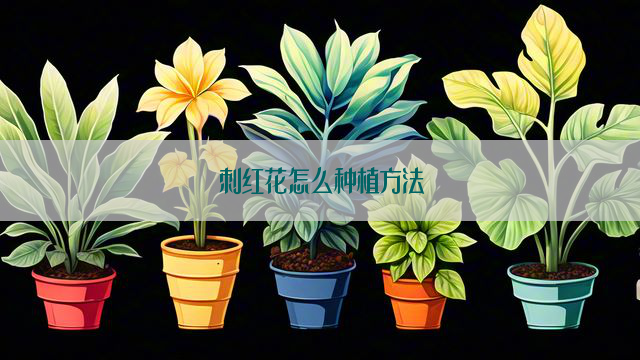 刺红花怎么种植方法