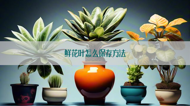 鲜花叶怎么保存方法