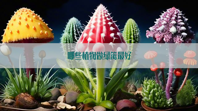 哪些植物做绿篱最好