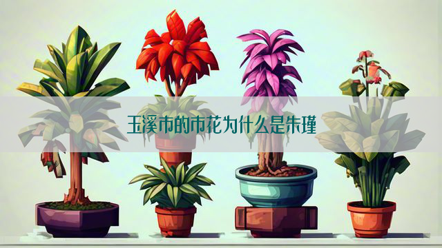 玉溪市的市花为什么是朱瑾