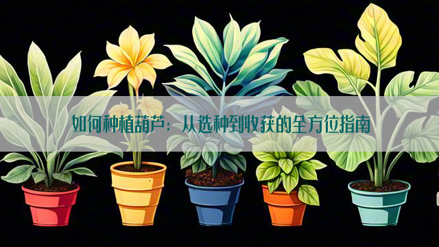 如何种植葫芦：从选种到收获的全方位指南