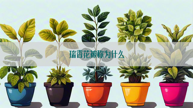 瑞香花被称为什么