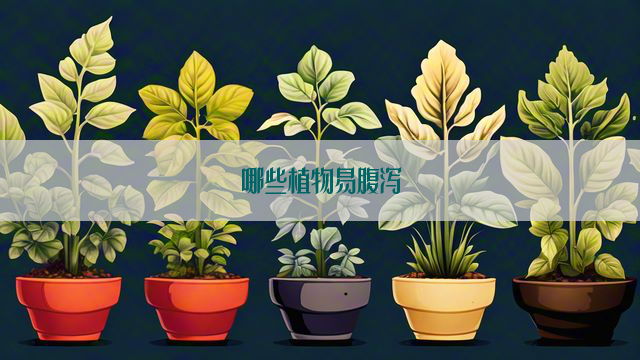 哪些植物易腹泻