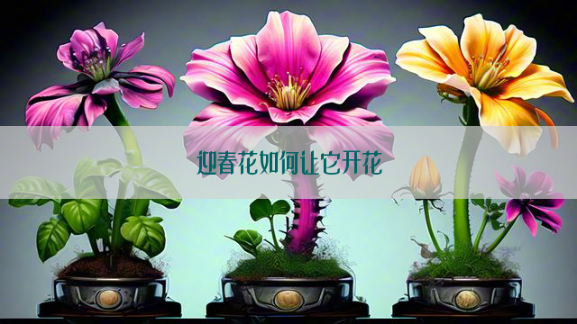 迎春花如何让它开花