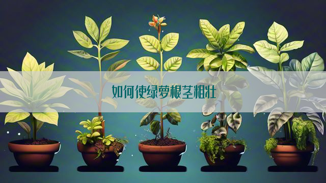 如何使绿萝根茎粗壮