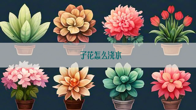 枙子花怎么浇水