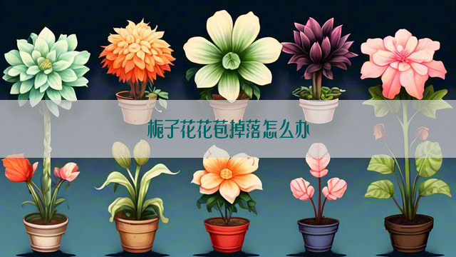 栀子花花苞掉落怎么办