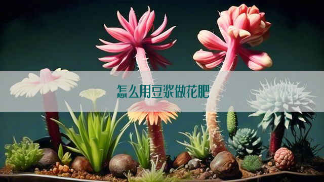 怎么用豆浆做花肥