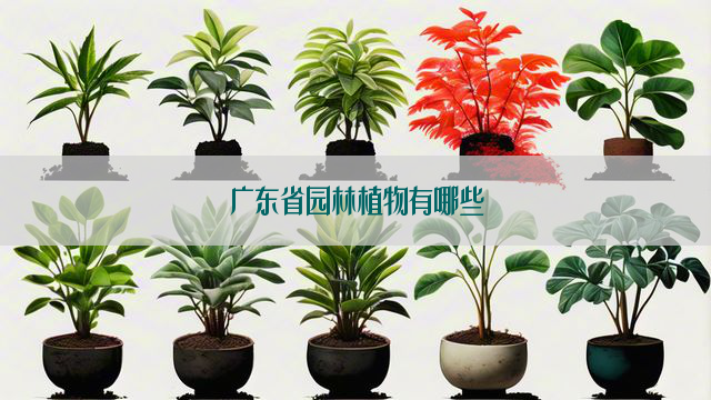 广东省园林植物有哪些