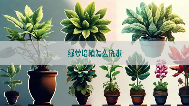 绿萝培植怎么浇水