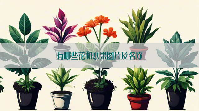 有哪些花和水果图片及名称