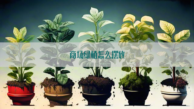 商场绿植怎么摆放