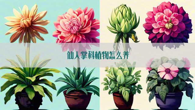 仙人掌科植物怎么养