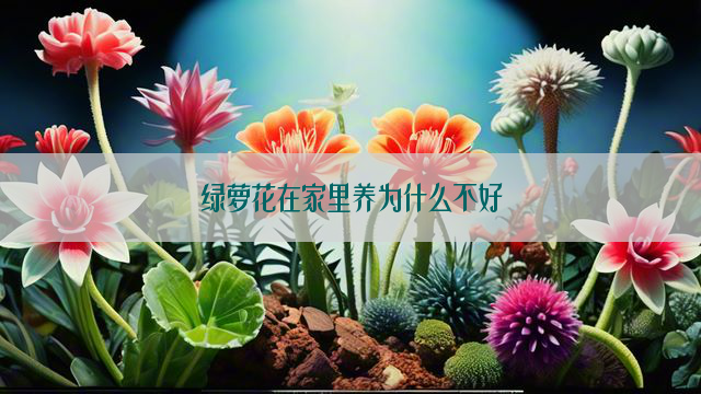 绿萝花在家里养为什么不好