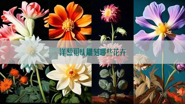 洋葱可以雕刻哪些花卉