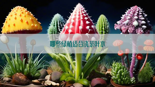 哪些绿植适合浇茶叶水